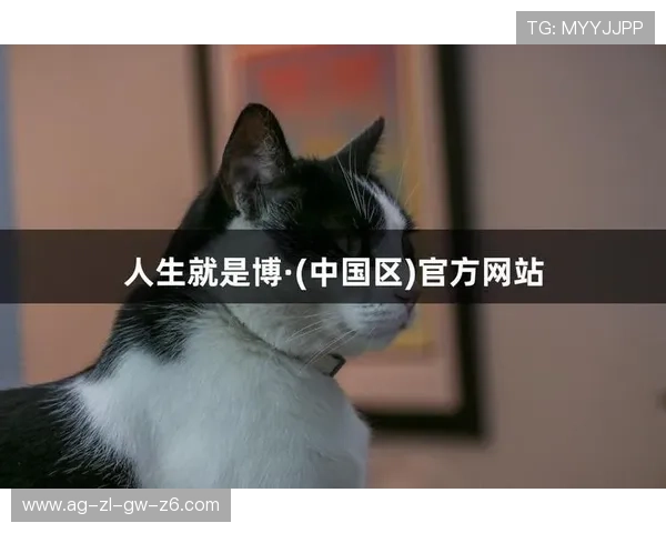 尊龙人生就是博l：探索人生哲学与成功秘诀的深度解析