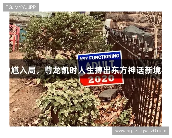 ag尊龙凯时人生就是博，结合游戏经验探索人生成功的多样路径