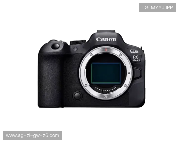Z6尊龙集团官网最新官方信息全面解析助你了解尊龙品牌发展动态
